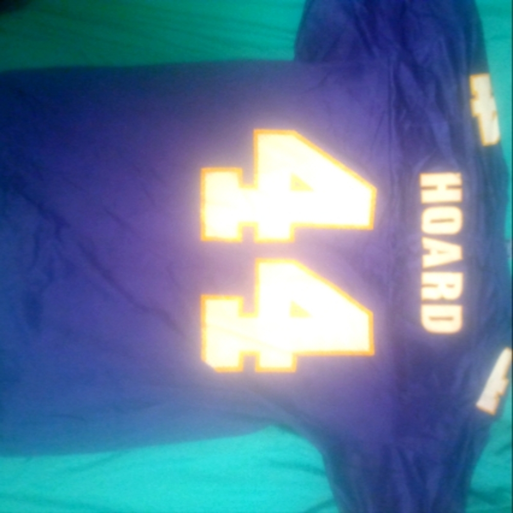 Leroy Hoards Champion vikings Jersey